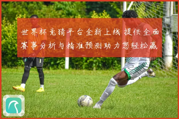 世界杯竞猜平台全新上线 提供全面赛事分析与精准预测助力您轻松赢取大奖