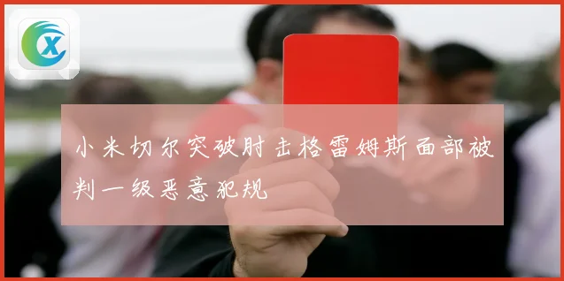 小米切尔突破肘击格雷姆斯面部被判一级恶意犯规