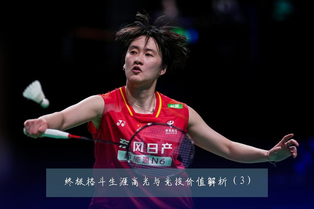 终极格斗生涯高光与竞技价值解析（3）